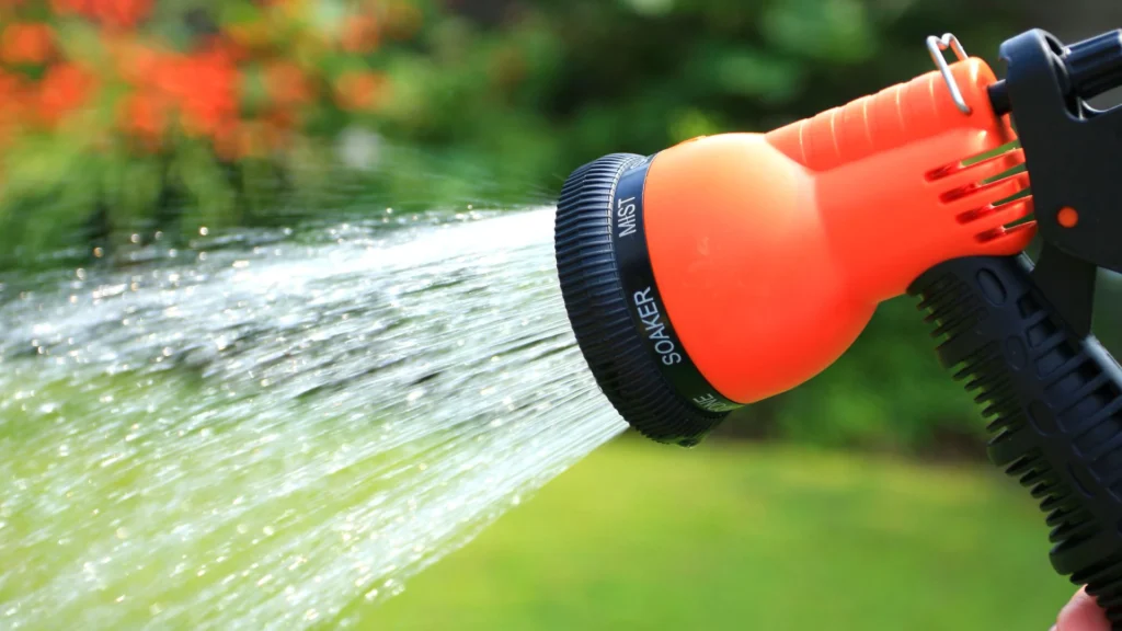 watering shrubs